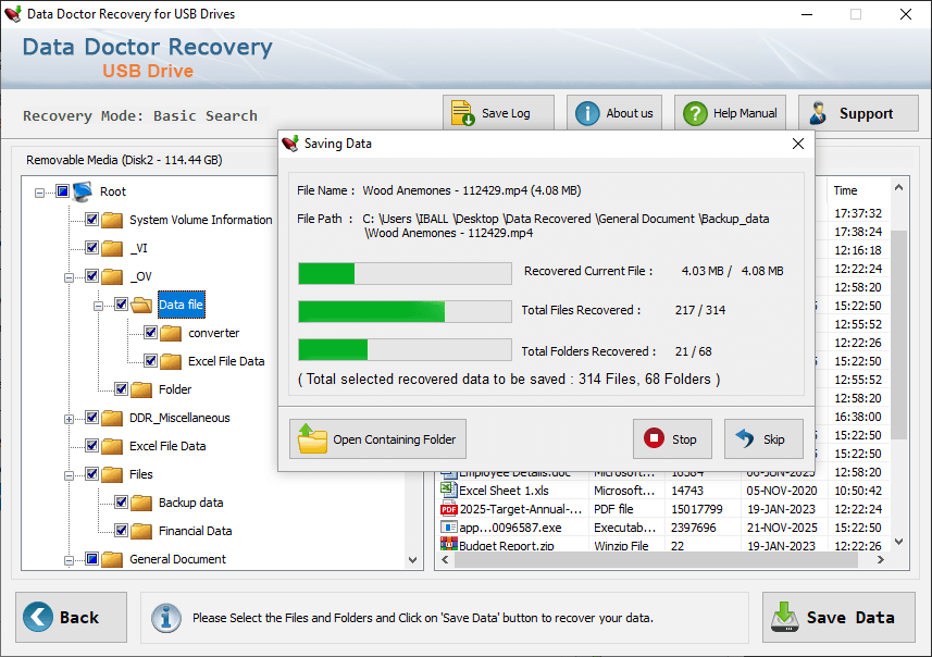 Pendrive data Recovery Software